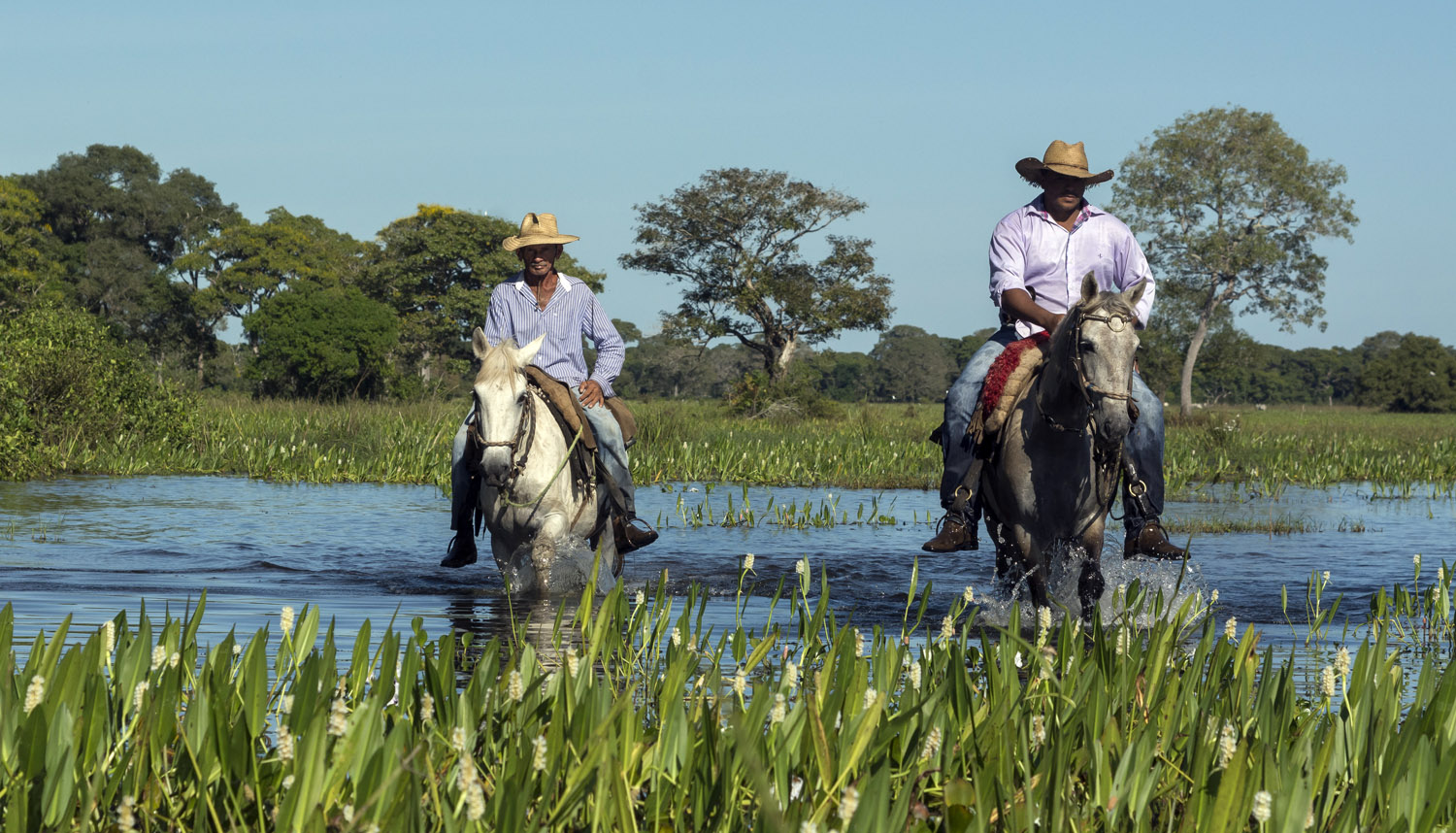 Dia do Pantanal: Cavalgadas são aventura certa para viver um pouco da  cultura do homem pantaneiro – Turismo MS