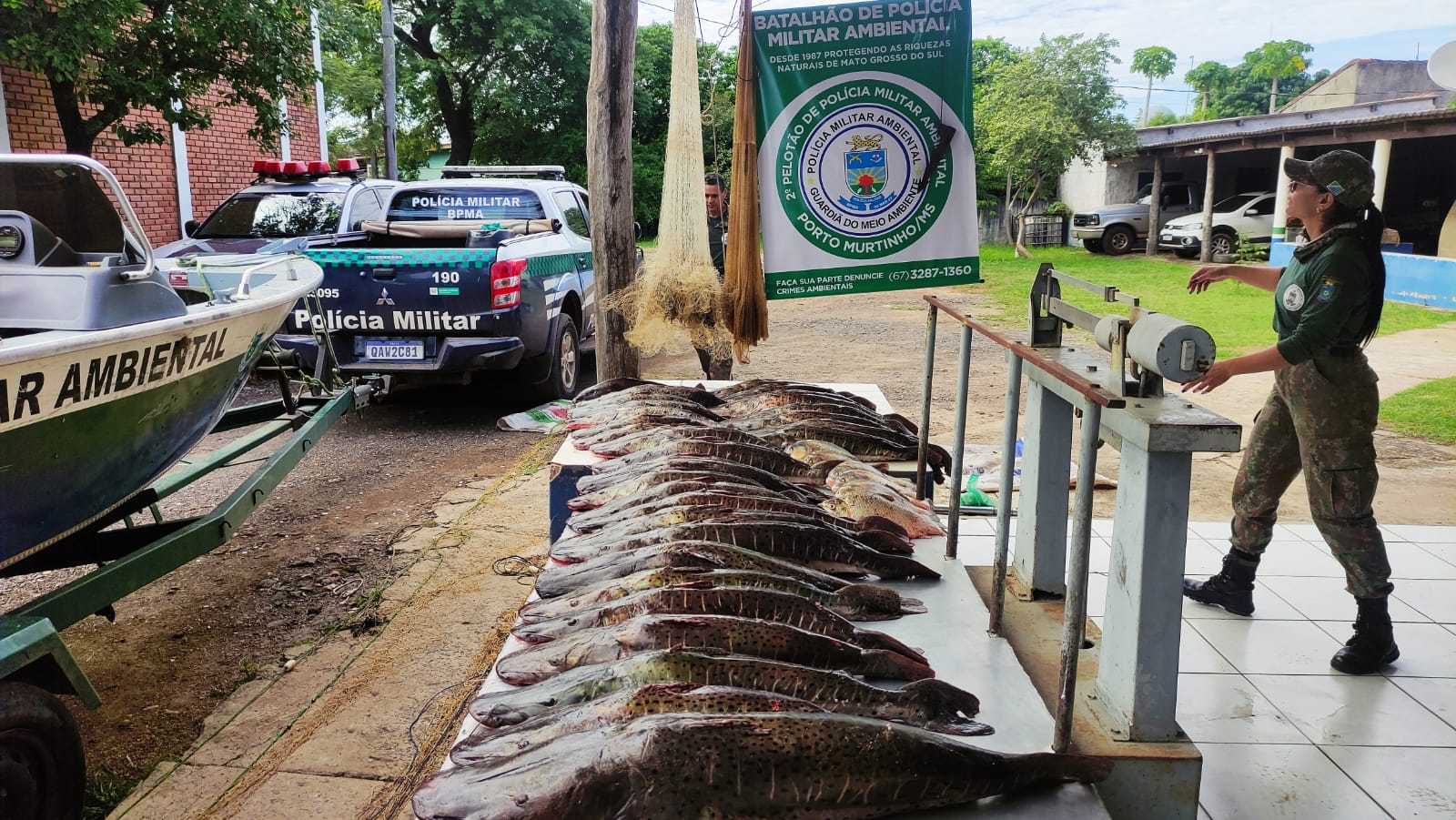Para Coibir Pesca Predatória Pma Deflagra Operação Semana Santa Agência De Noticias Do 1113
