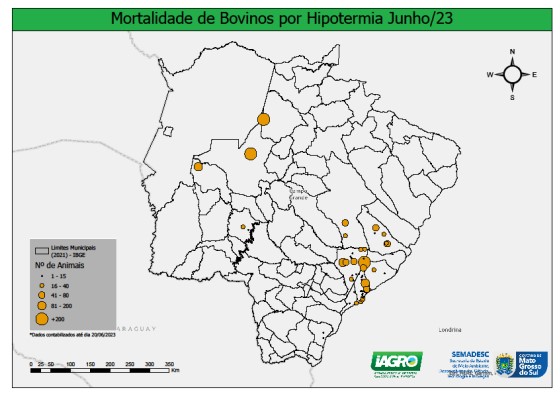 Governo emite nota técnica após 2,7 mil casos de mortalidade de bovinos em MS