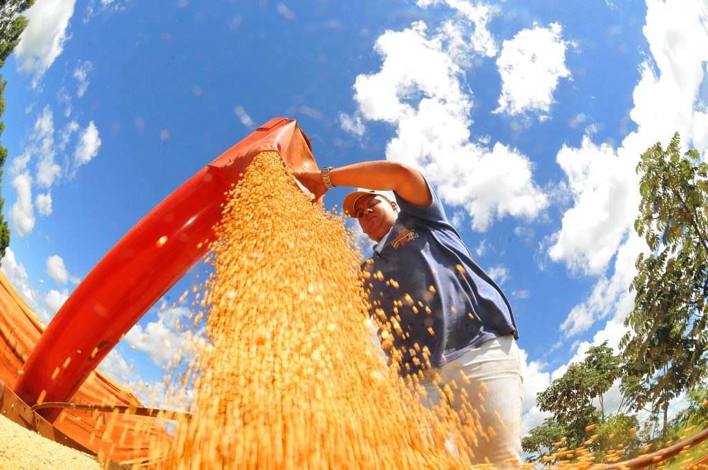 Chuvas impulsionam plantio de soja, que atinge maior área das últimas cinco safras