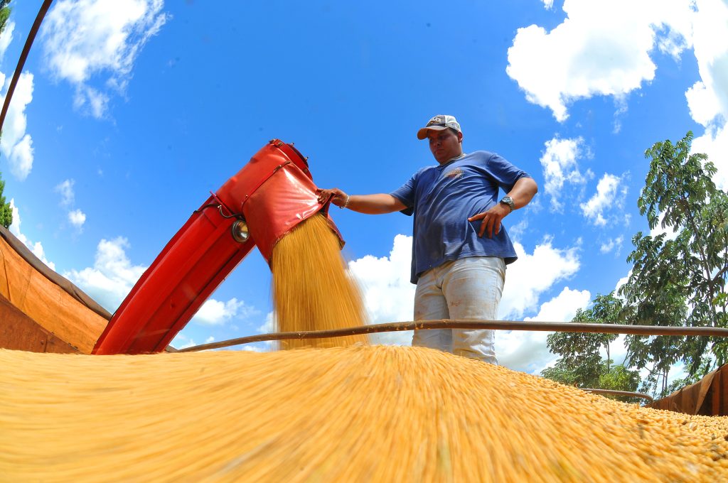 Foto: Reprodução/Secom Mato Grosso do Sul