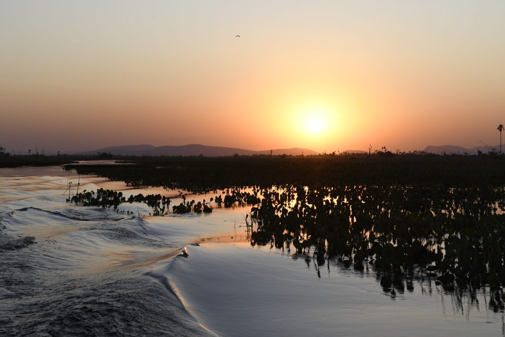Pantanal Tempo Foto Bruno Rezende 22 COP 28: Governo de MS vai a Dubai para fortalecer trabalho focado em meta do Carbono Neutro