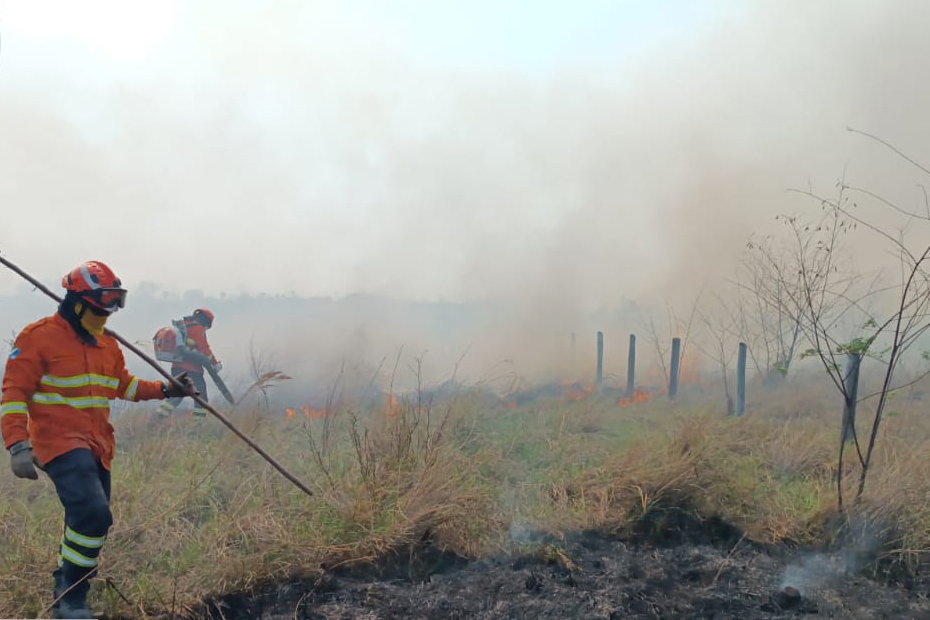 Pantanal Com monitoramento integral, Bombeiros de MS atuam no combate a três incêndios florestais no Pantanal