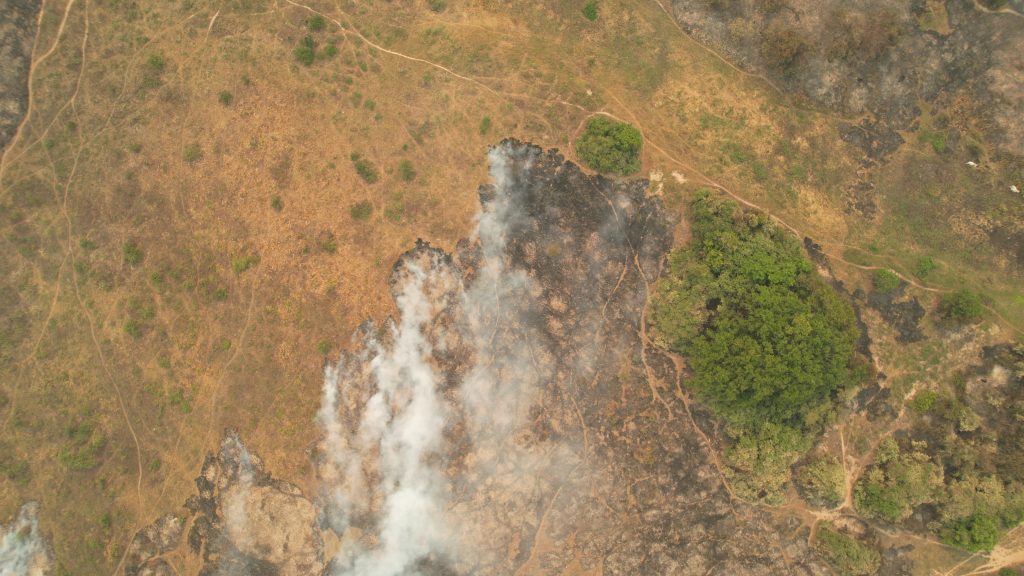Bombeiros de MS atuam em três grandes incêndios no Pantanal com apoio aéreo e por terra