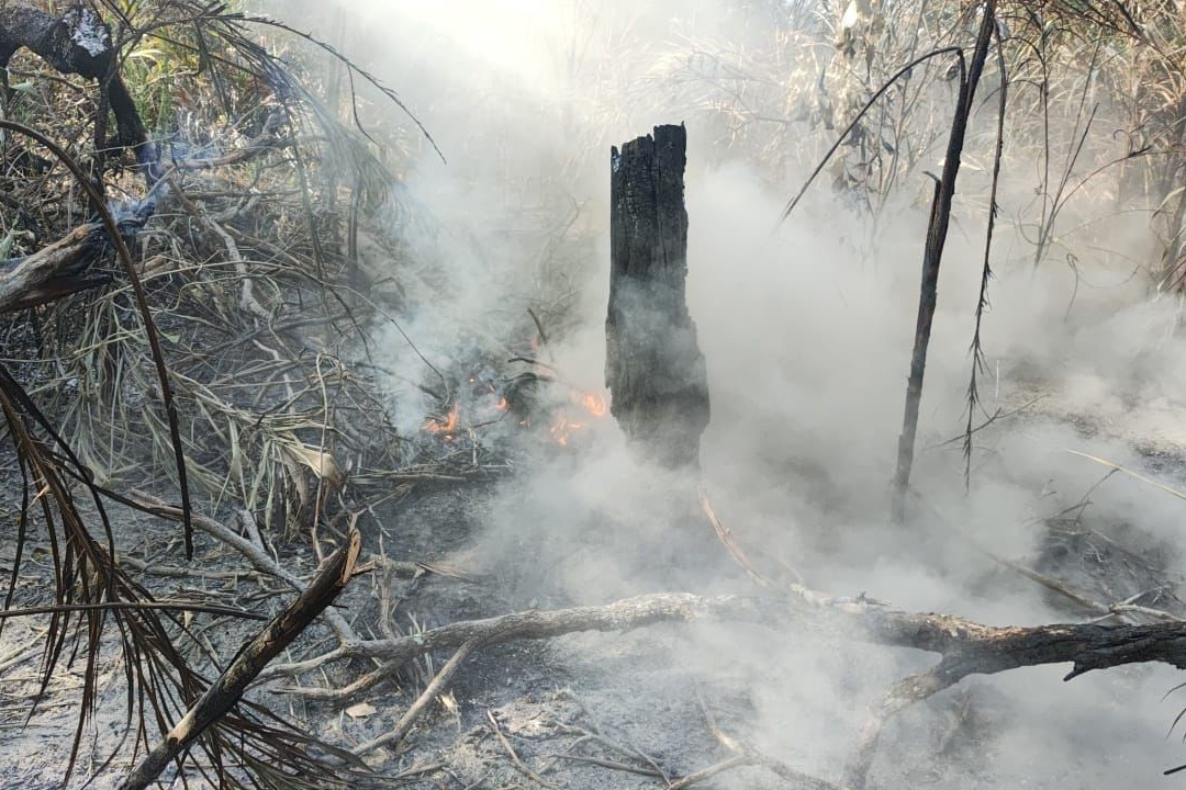 Com aeronaves e equipes extras, Governo de MS intensifica ações e combate aos incêndios no Pantanal