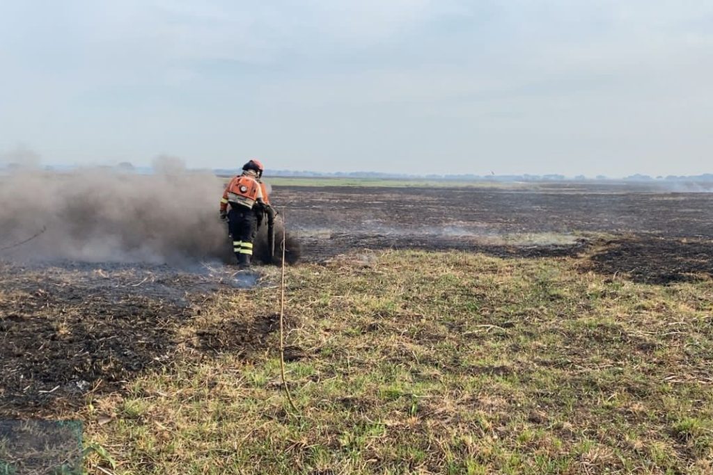 Em alerta, bombeiros de MS atuam em quatro incêndios florestais no Pantanal