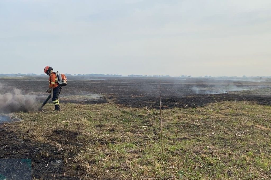 Em alerta, bombeiros de MS atuam em quatro incêndios florestais no Pantanal