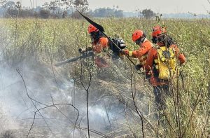 Incêndios são controlados no Pantanal e equipes continuam trabalho de rescaldo e monitoramento da região