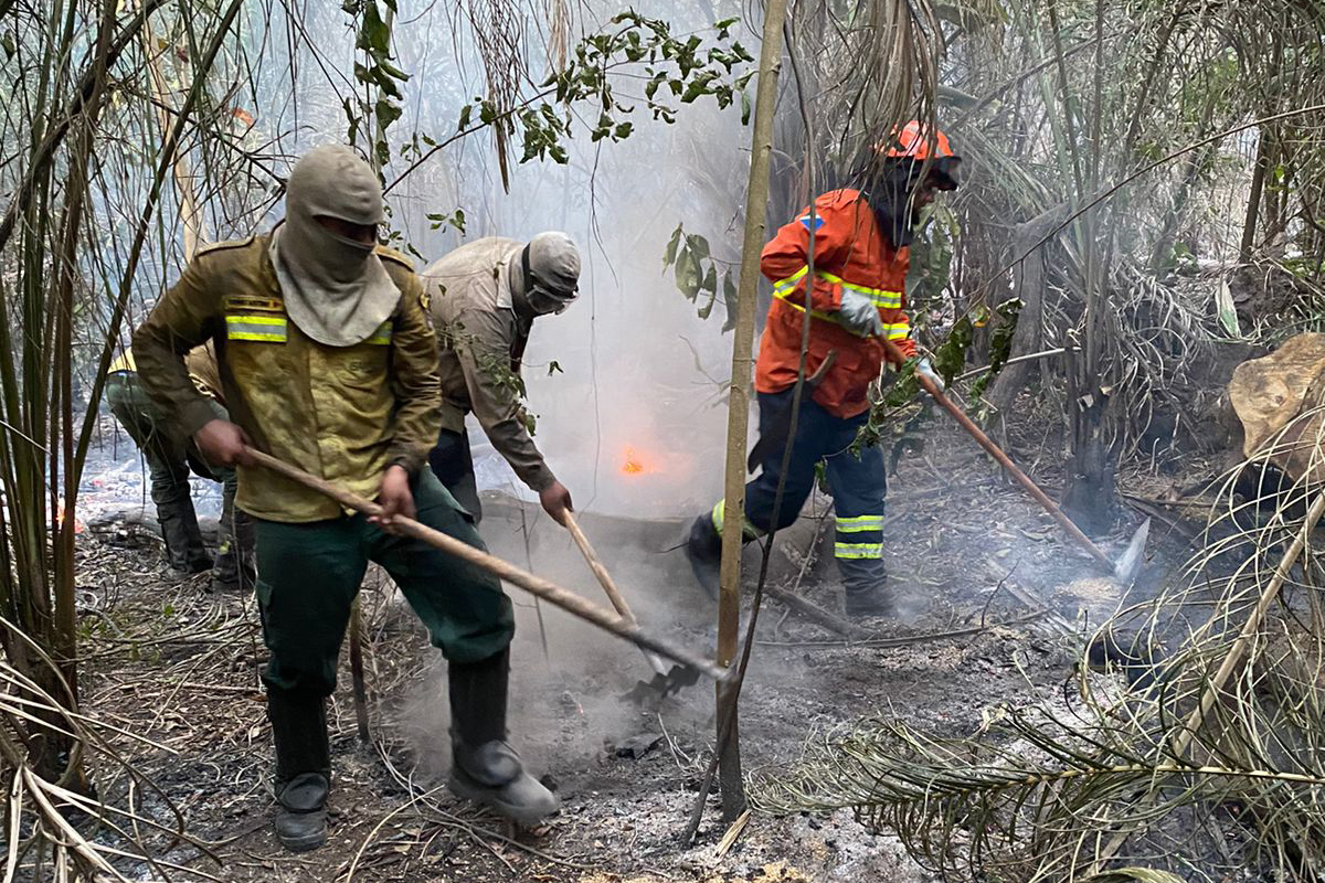 Estado mantém combate a incêndios no Pantanal com tecnologia e equipamentos