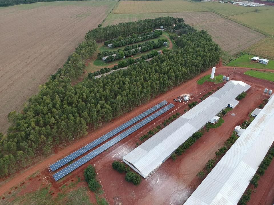 Incentivo a avicultura de MS garante mais de R$ 35 milhões aos produtores e ânimo ao setor