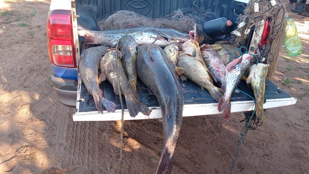Operação Piracema apreende 902 kg de pescado e aplica R$ 134 mil em multas