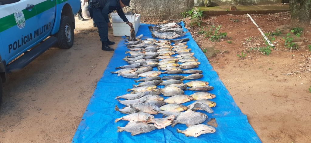 Operação Piracema apreende 902 kg de pescado e aplica R$ 134 mil em multas