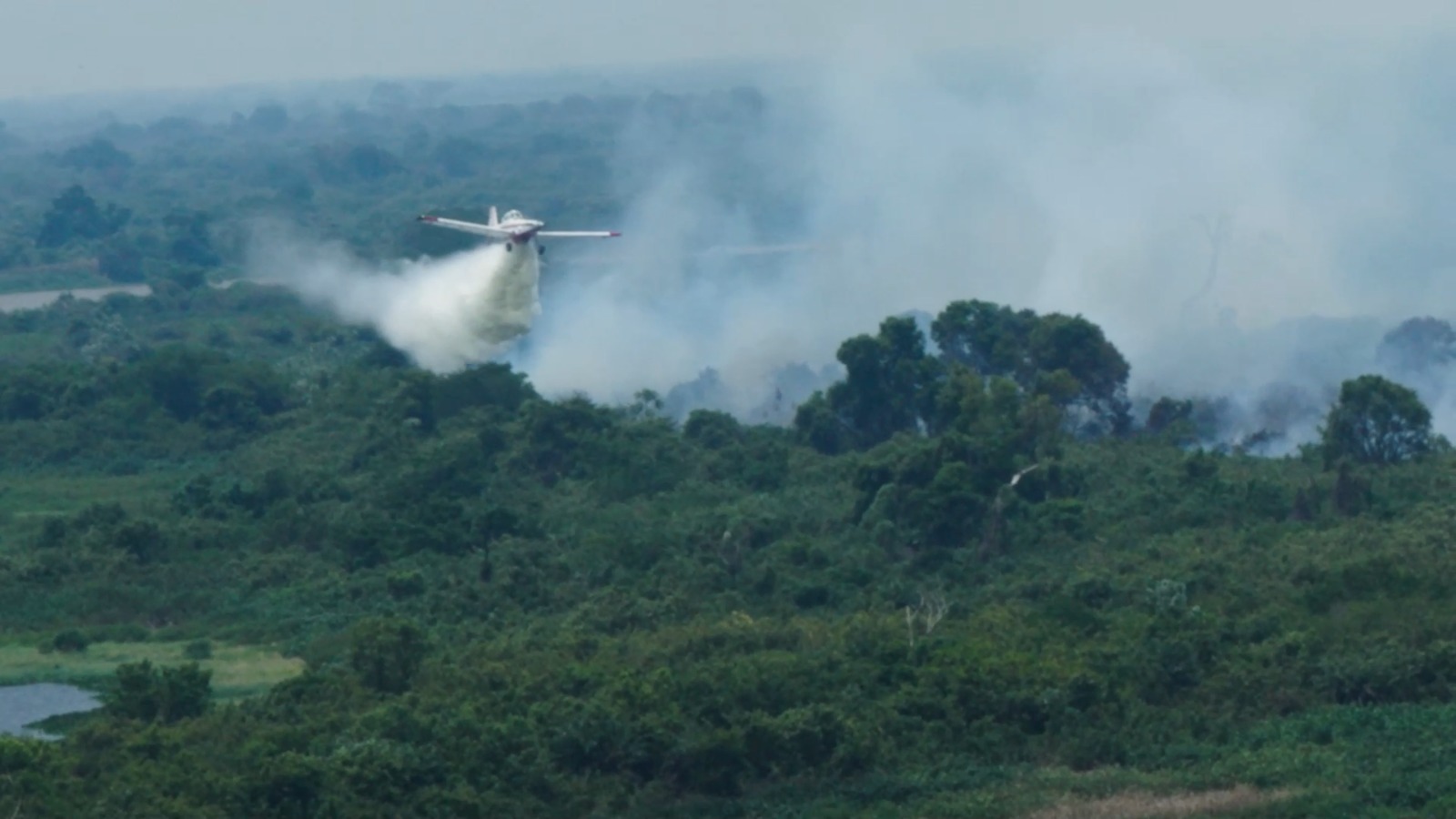 Bombeiros de MS controlam incêndio no Pantanal com atuação coordenada por terra e ar