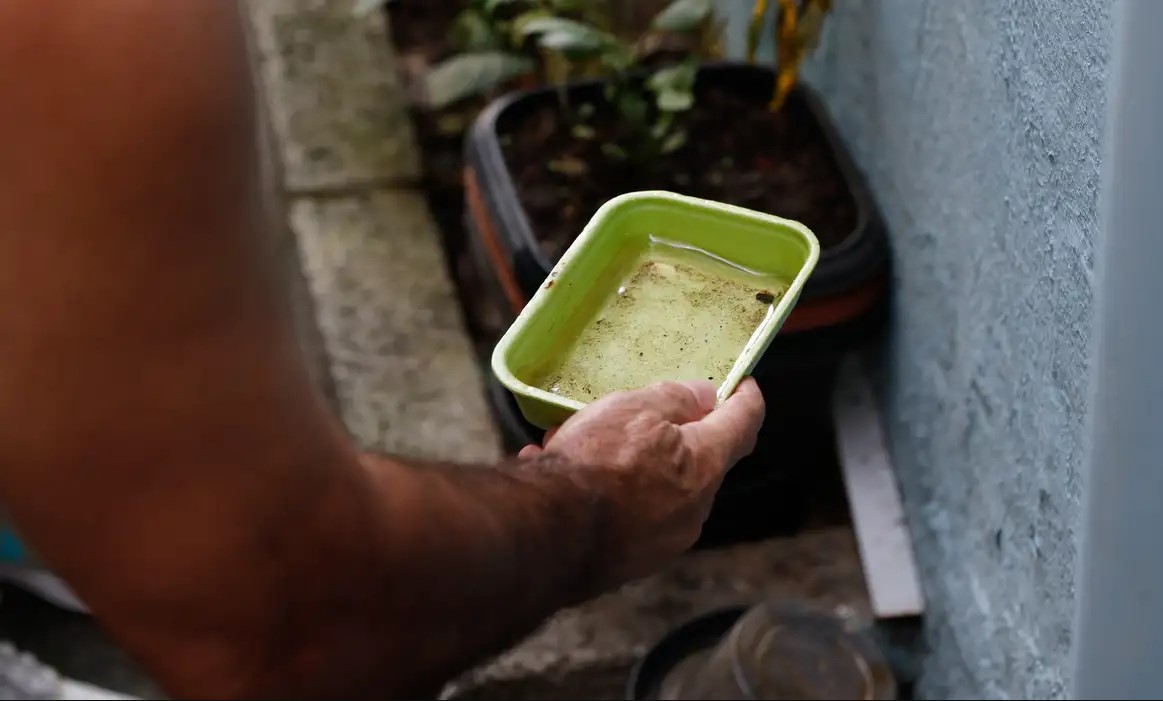 Foto: Reprodução/Secom Mato Grosso do Sul