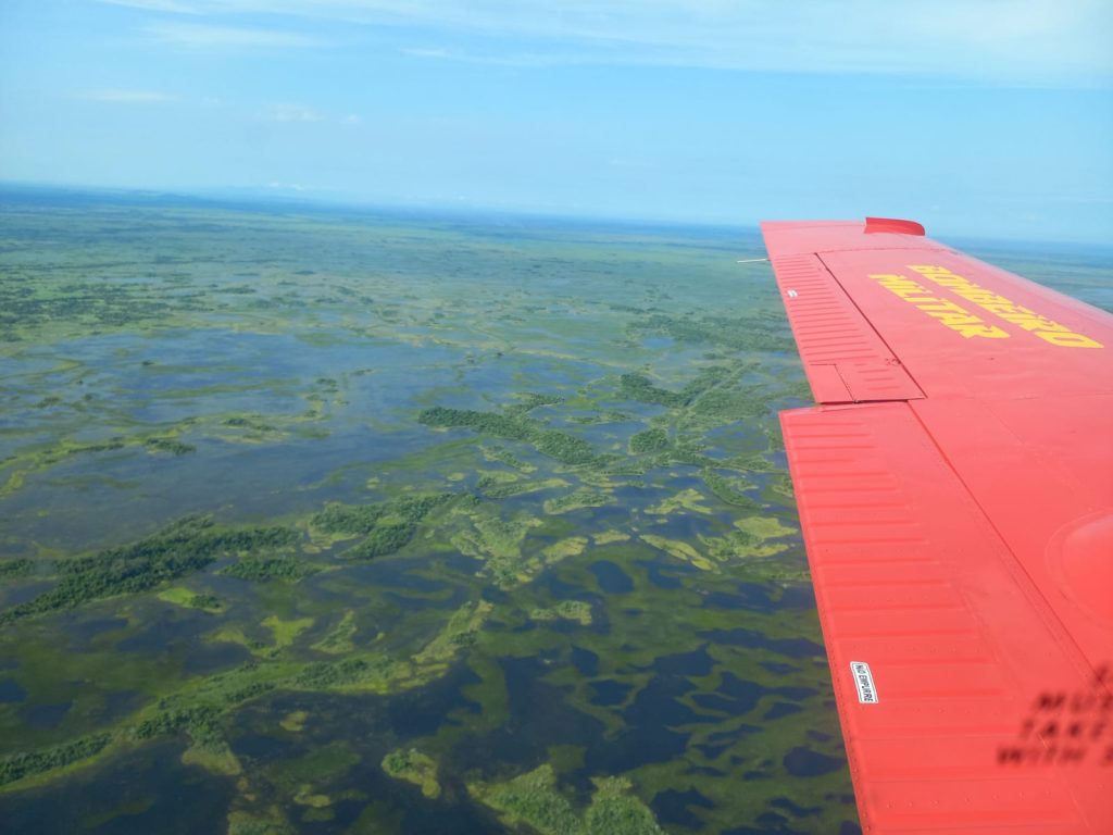 Bombeiros de MS combatem incêndio no Pantanal; cobertura completa aqui