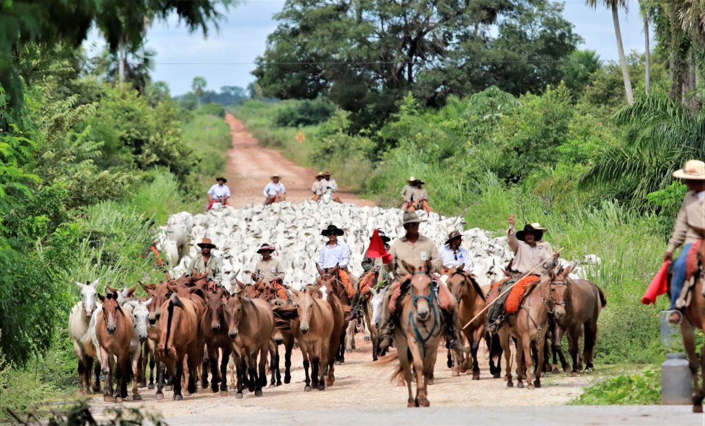 Foto: Reprodução/Secom Mato Grosso do Sul