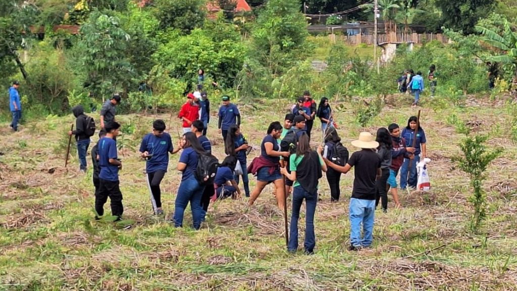 Projeto com estudantes de escola indígena faz restauração de vegetação em Dourados