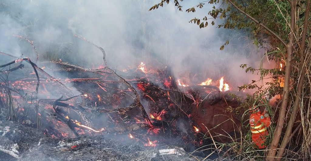 Equipes do Corpo de Bombeiros combatem incêndio florestal na região de Itaquiraí