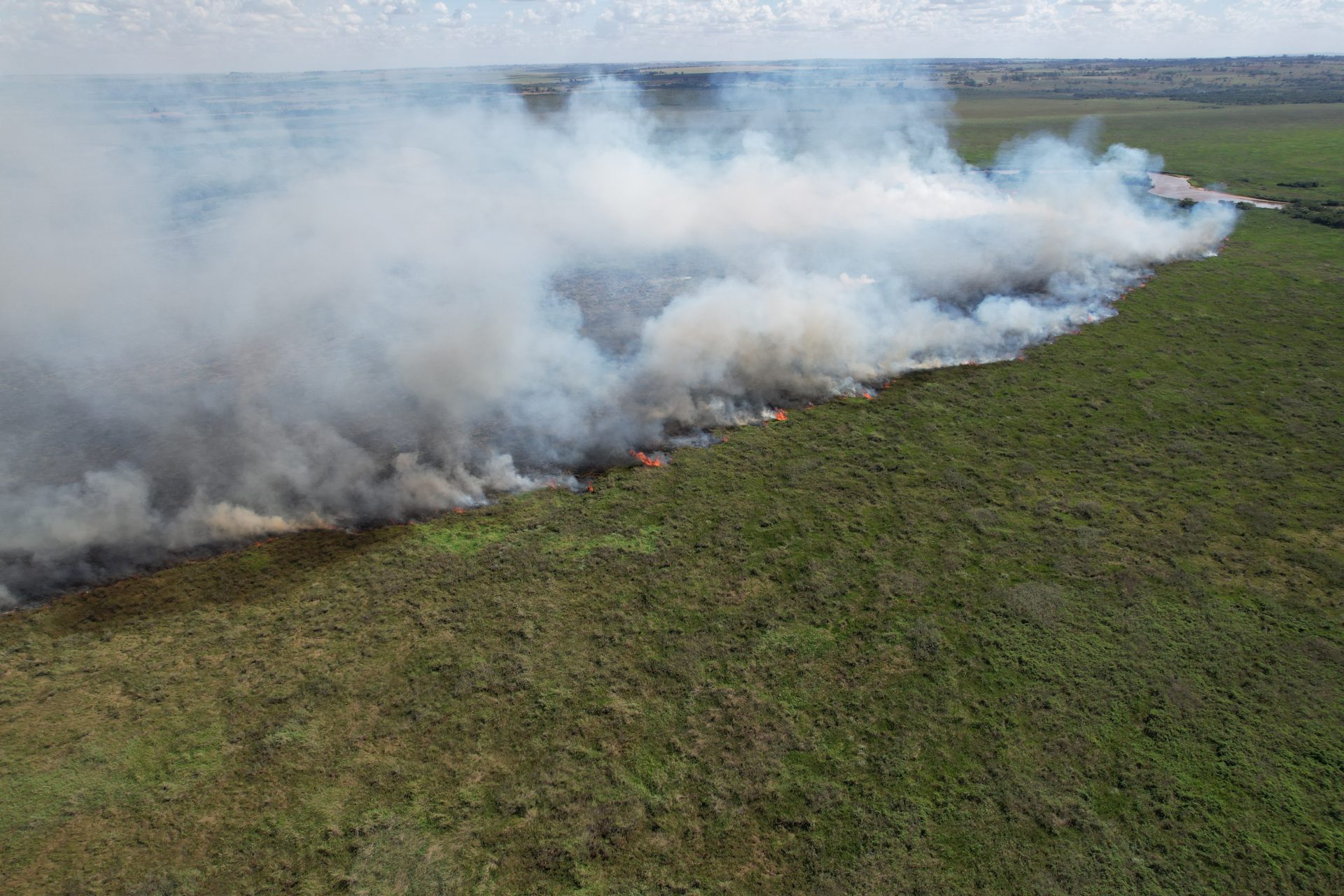 Combate a incêndios florestais e ações preventivas marcam atuação dos bombeiros em biomas de MS