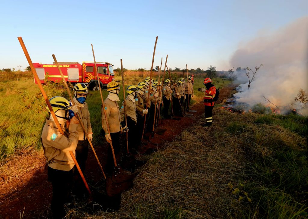 Treinamento de combate ao fogo qualifica novos soldados dos Bombeiros para atuar em incêndios florestais