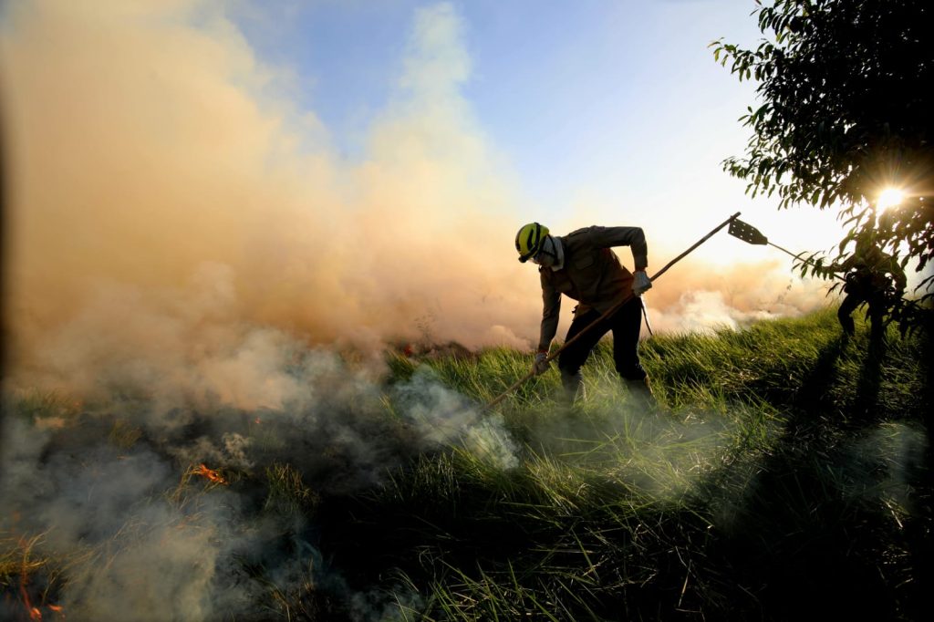 Treinamento de combate ao fogo qualifica novos soldados dos Bombeiros para atuar em incêndios florestais