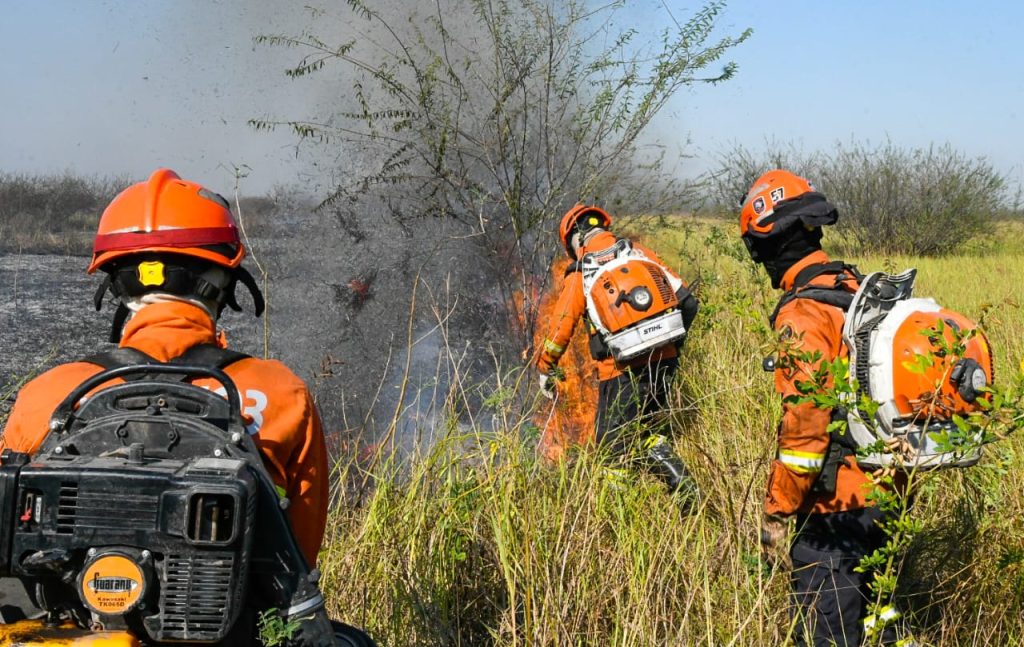 Pantaneiros elogiam ação coordenada contra o fogo e destacam bombeiros