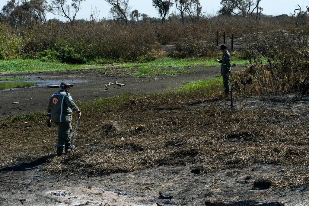 Equipe do Governo de MS no Pantanal monitora áreas em busca de animais feridos