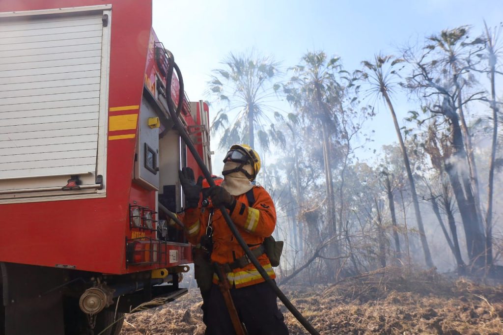 Bombeiros de MS continuam trabalho para conter incêndios em diferentes áreas do Pantanal