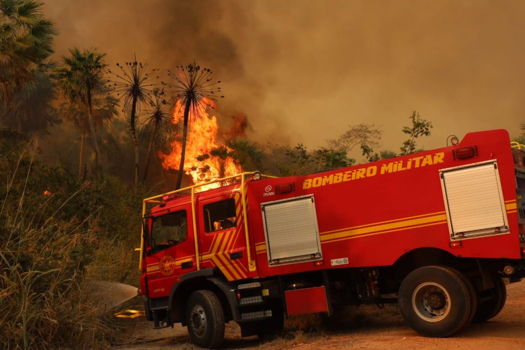 Operação Pantanal: bombeiros de MS lutam para conter grandes chamas na região do Nabileque