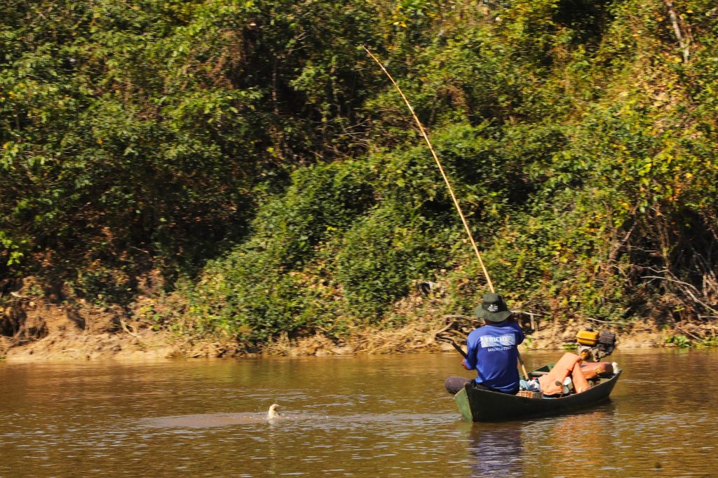 Foto: Reprodução/Secom Mato Grosso do Sul