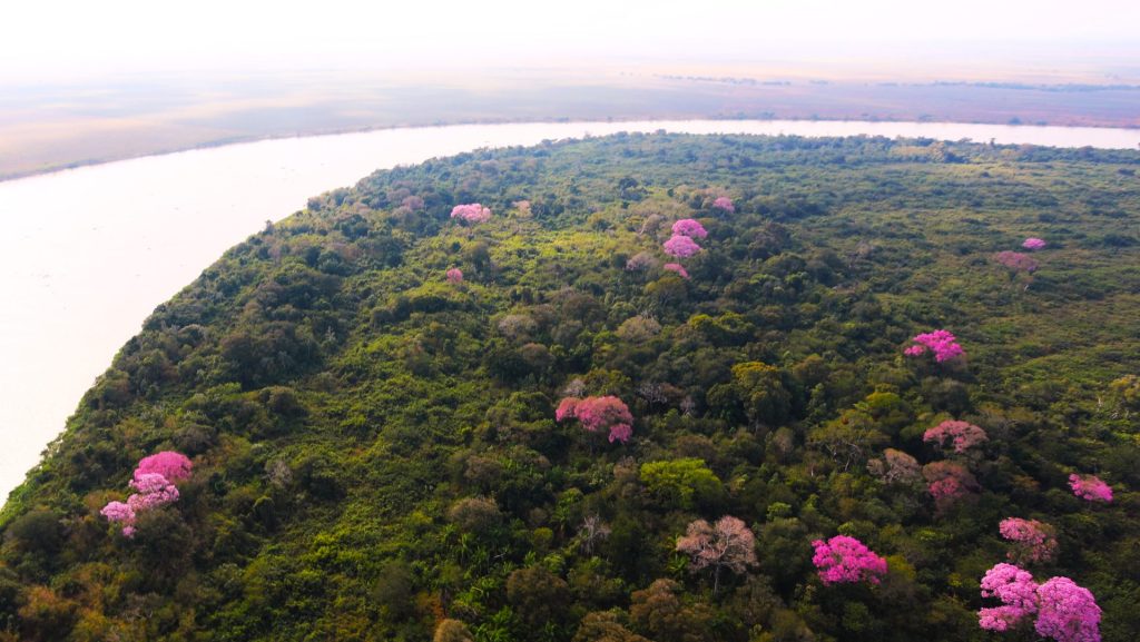 Foto: Reprodução/Secom Mato Grosso do Sul