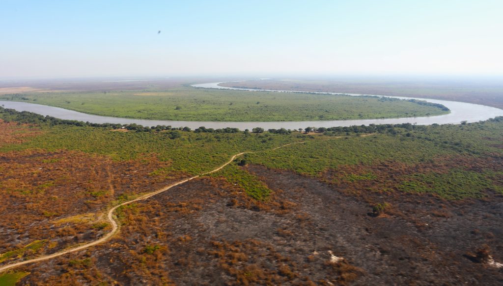 Pantanal Foto Saul Schramm 26