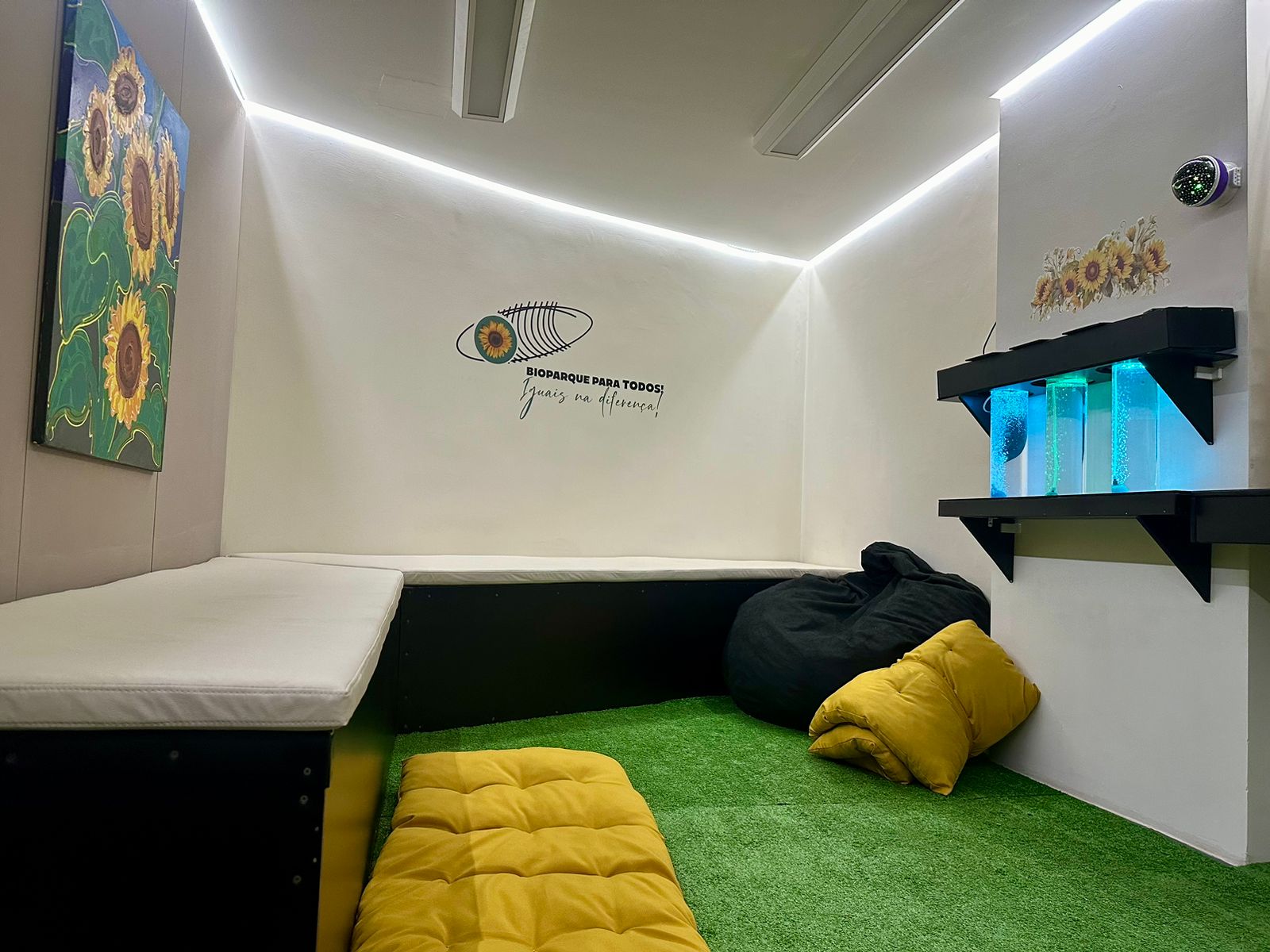 Sala de acomodação sensorial garante espaço reservado para autistas no  Bioparque Pantanal