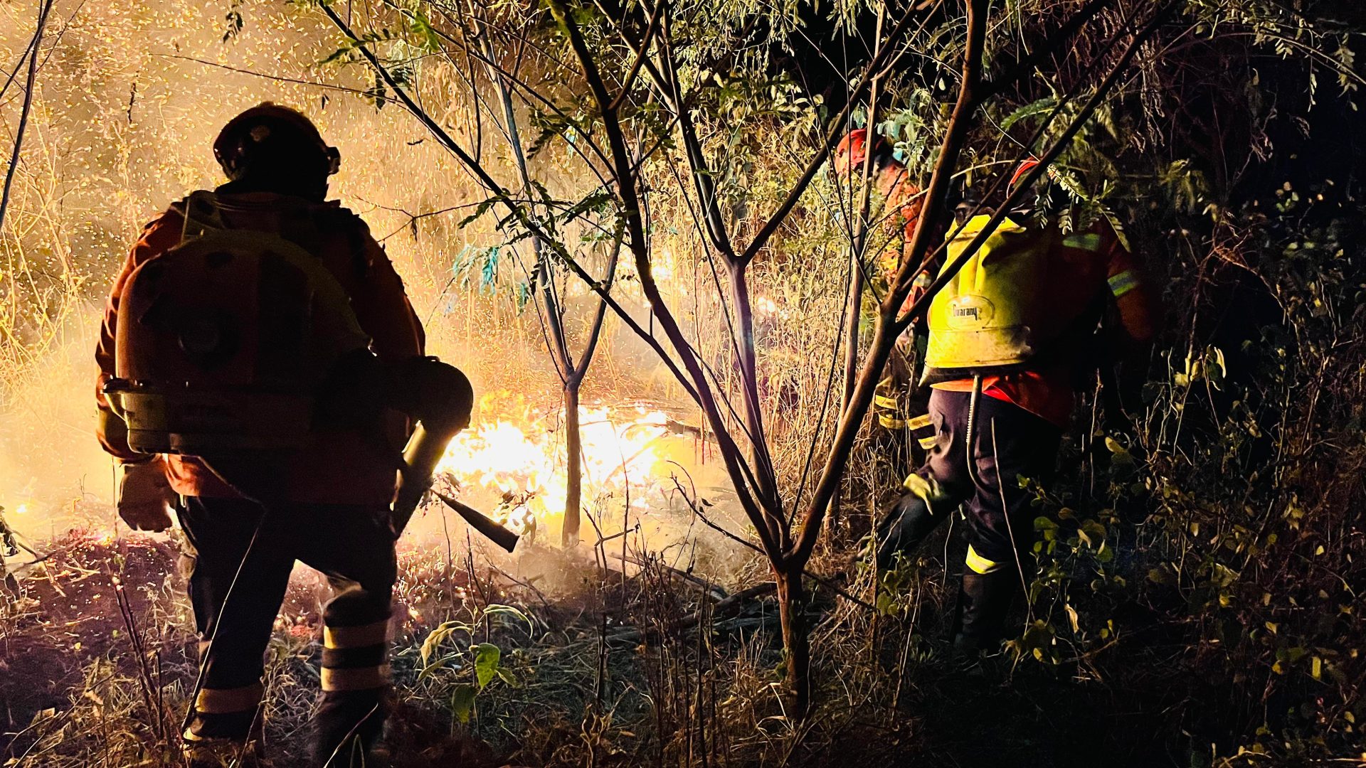 Pantanal Nabileque 3 22 de agosto incendios 2024 scaled 1