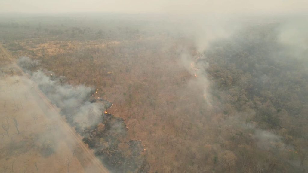 Situação de seca em MS intensifica incêndios florestais e trabalho de combate em todos os biomas