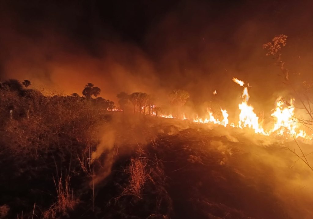 Situação de seca em MS intensifica incêndios florestais e trabalho de combate em todos os biomas