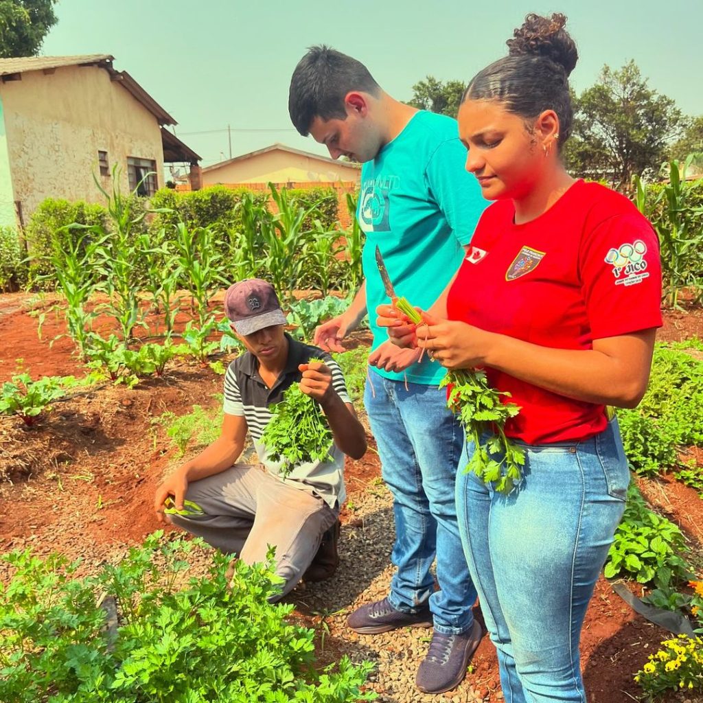 Bolsistas do Pictec inovam agricultura familiar em Anhanduí com apoio da Fundect