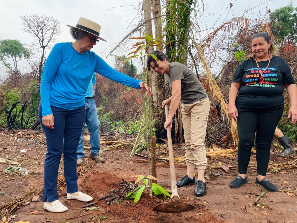 Ação Cidadania ECOmunitária planta árvores e semeia a ideia de que o futuro é ancestral