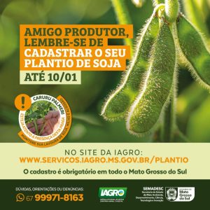 Produtores rurais devem declarar área plantada de soja até o dia 10 de janeiro no site da Iagro