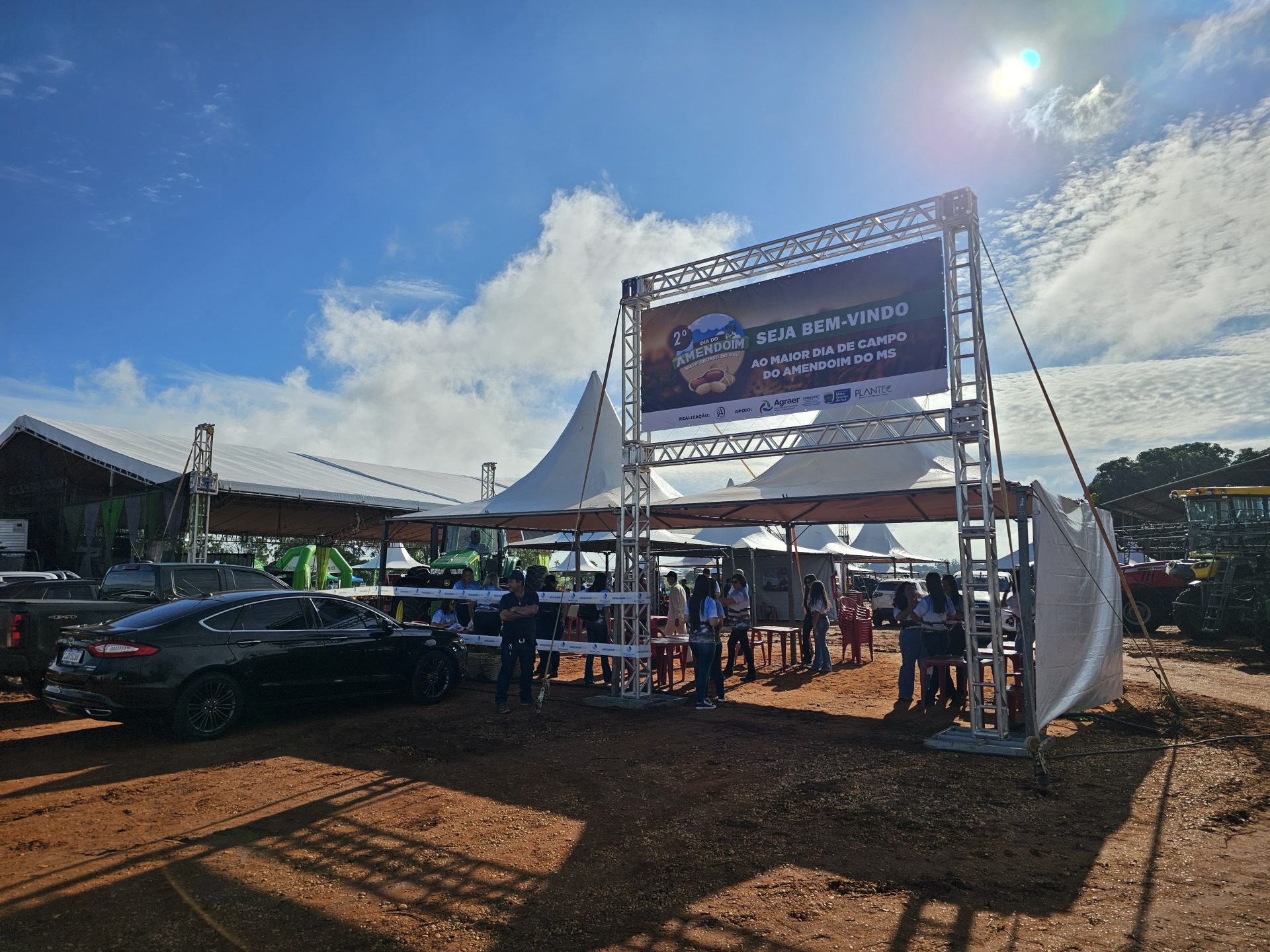 Diversificação agrícola faz o cultivo do amendoim crescer e consolida MS como 2º maior produtor no país