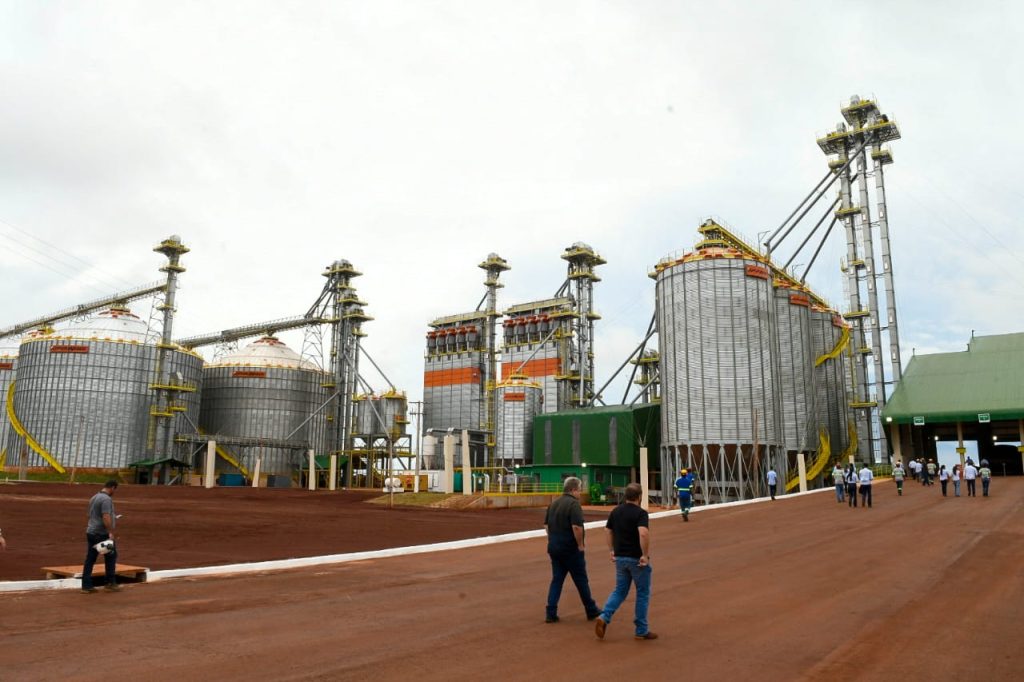 Foto: Reprodução/Secom Mato Grosso do Sul