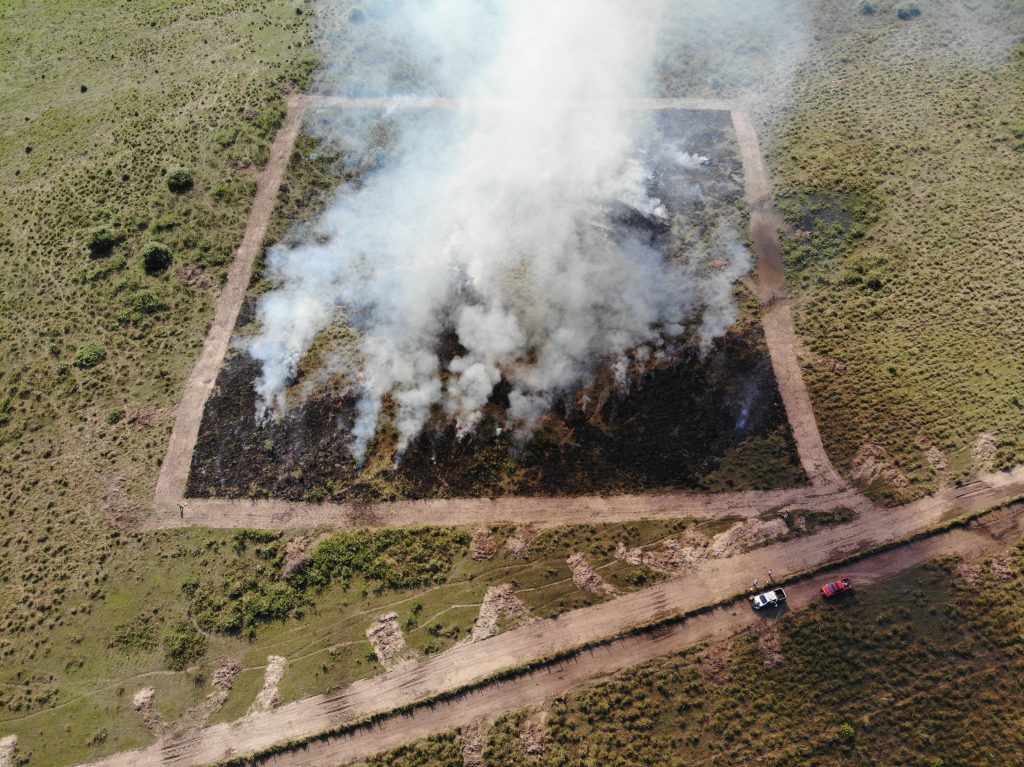 Foto: Reprodução/Secom Mato Grosso do Sul