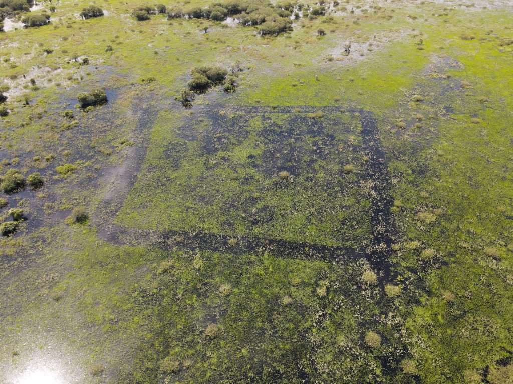 Foto: Reprodução/Secom Mato Grosso do Sul