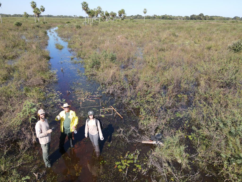 Foto: Reprodução/Secom Mato Grosso do Sul