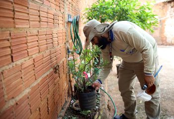 Combate a Dengue