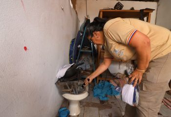 Combate a Dengue