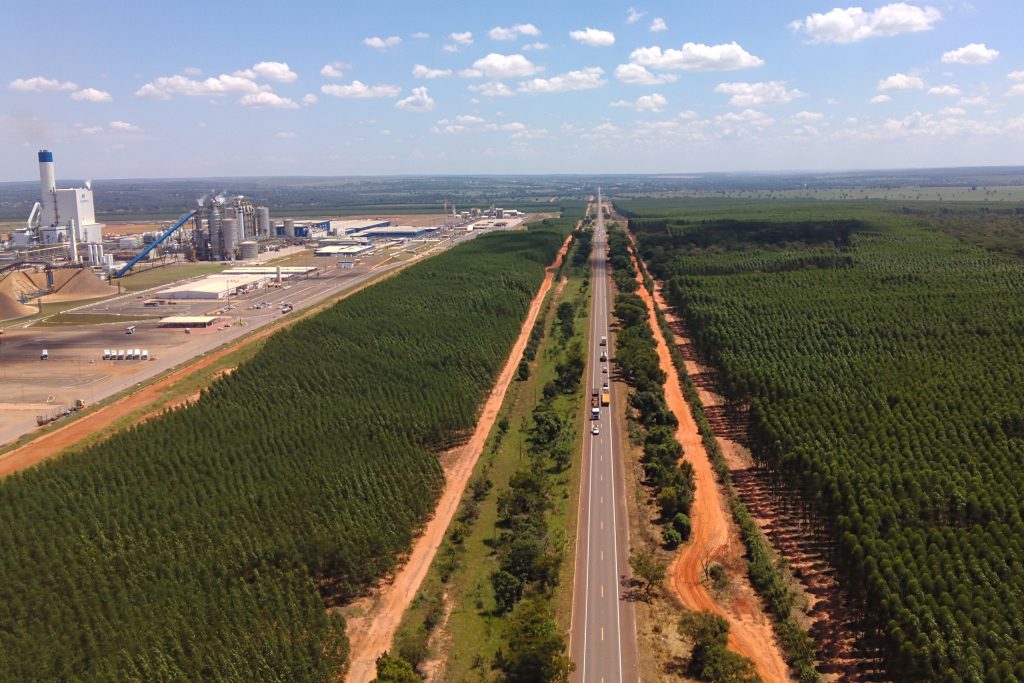 >Vale da Celulose recebe investimentos bilionários da iniciativa privada