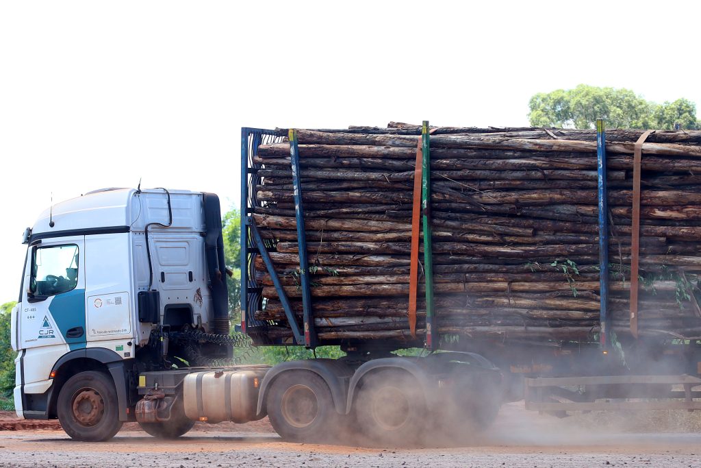 >Foto: Álvaro Rezende/Secom/Arquivo