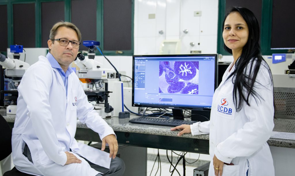 >Fundect também aumentou em 700% recursos para pesquisas no SUS (Foto: Arquivo)
