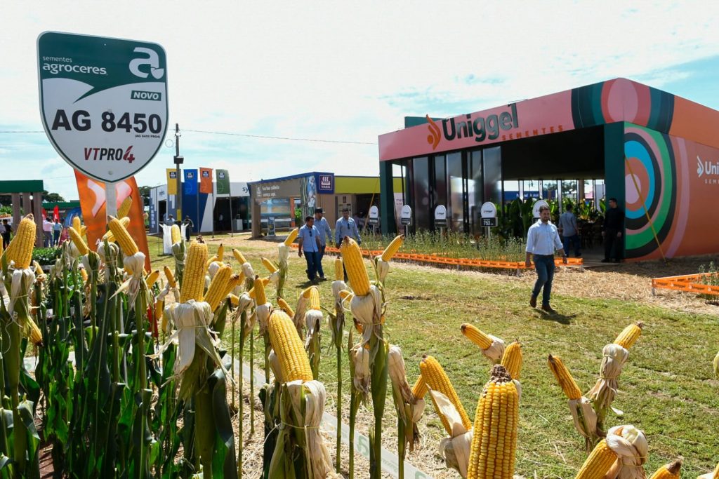 Foto: Reprodução/Secom Mato Grosso do Sul